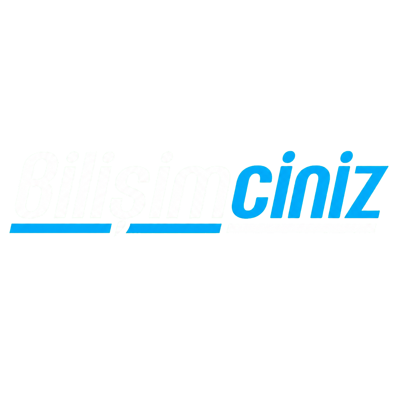 Bilişimciniz BT Danışmanlık